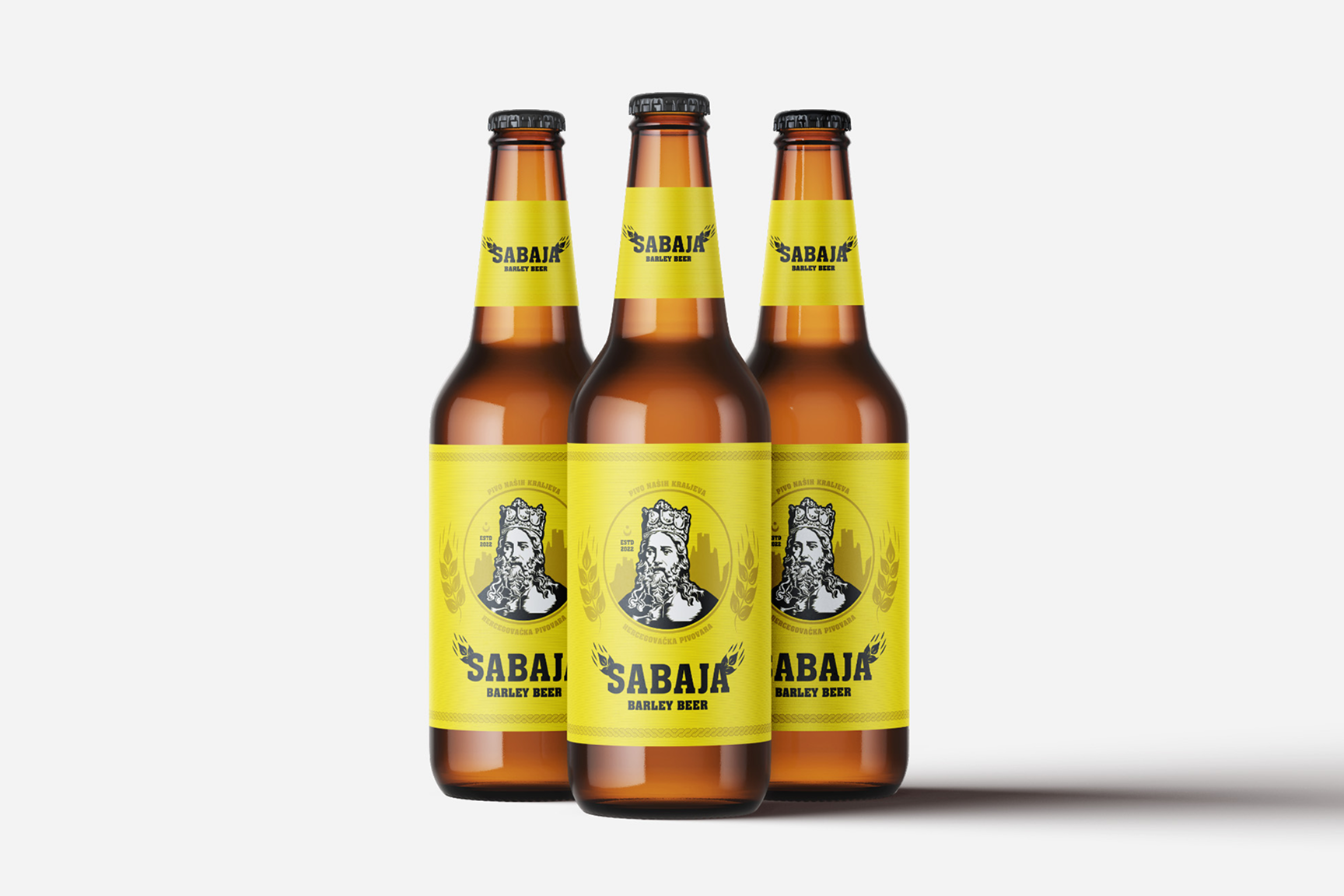 Pivo naših kraljeva packaging project