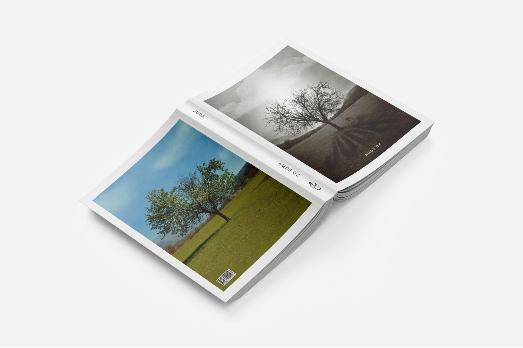 Print Project 02 cover